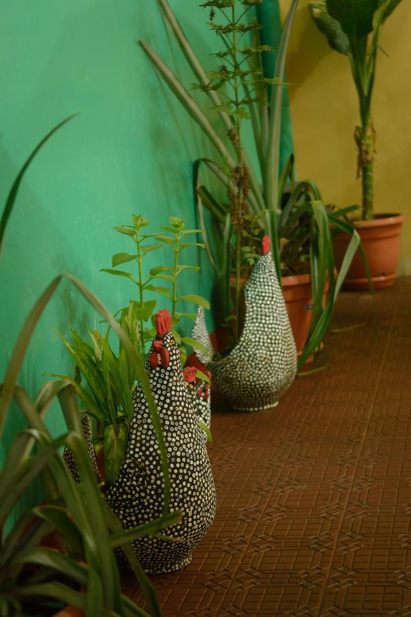 Hostal Fachente León Buitenkant foto